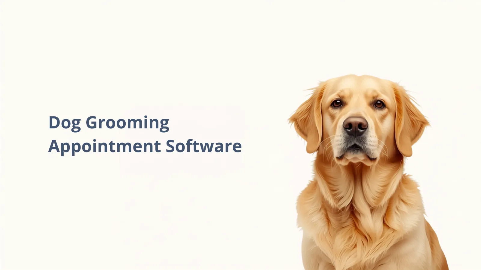 Dog Grooming Appointment Software - CodeFlippers Guide