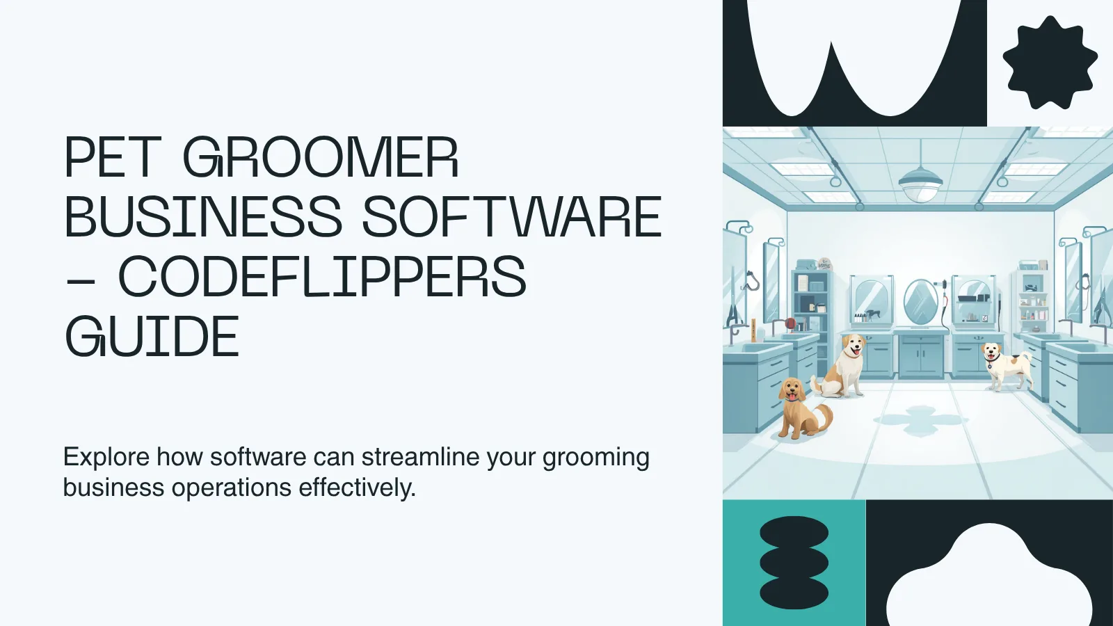 Pet Groomer Business Software - CodeFlippers Guide